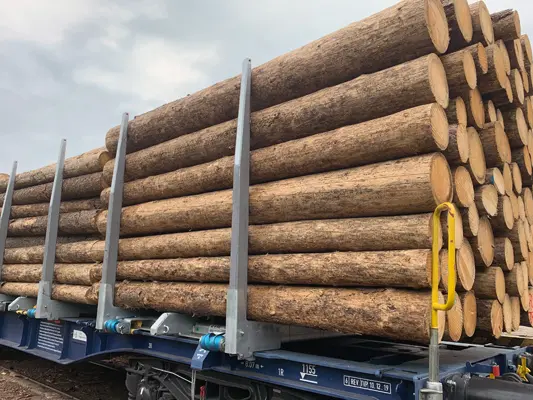 Logistik mit der Bahn durch die Firma Trendholz