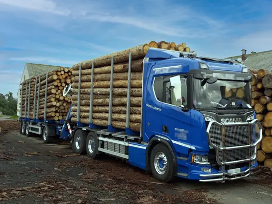 Logistik auf der Strasse mit der Trendholz