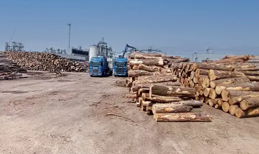 Aufladen Trendholz